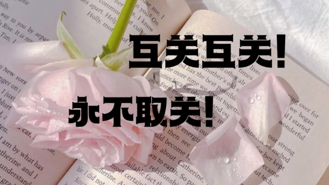 互关,永不取关!
