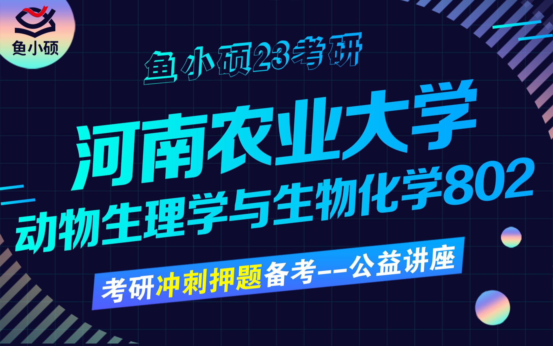 23河南农业大学兽医畜牧学硕802z动物生理学315有机化学小天学长河南农大冲刺班哔哩哔哩bilibili