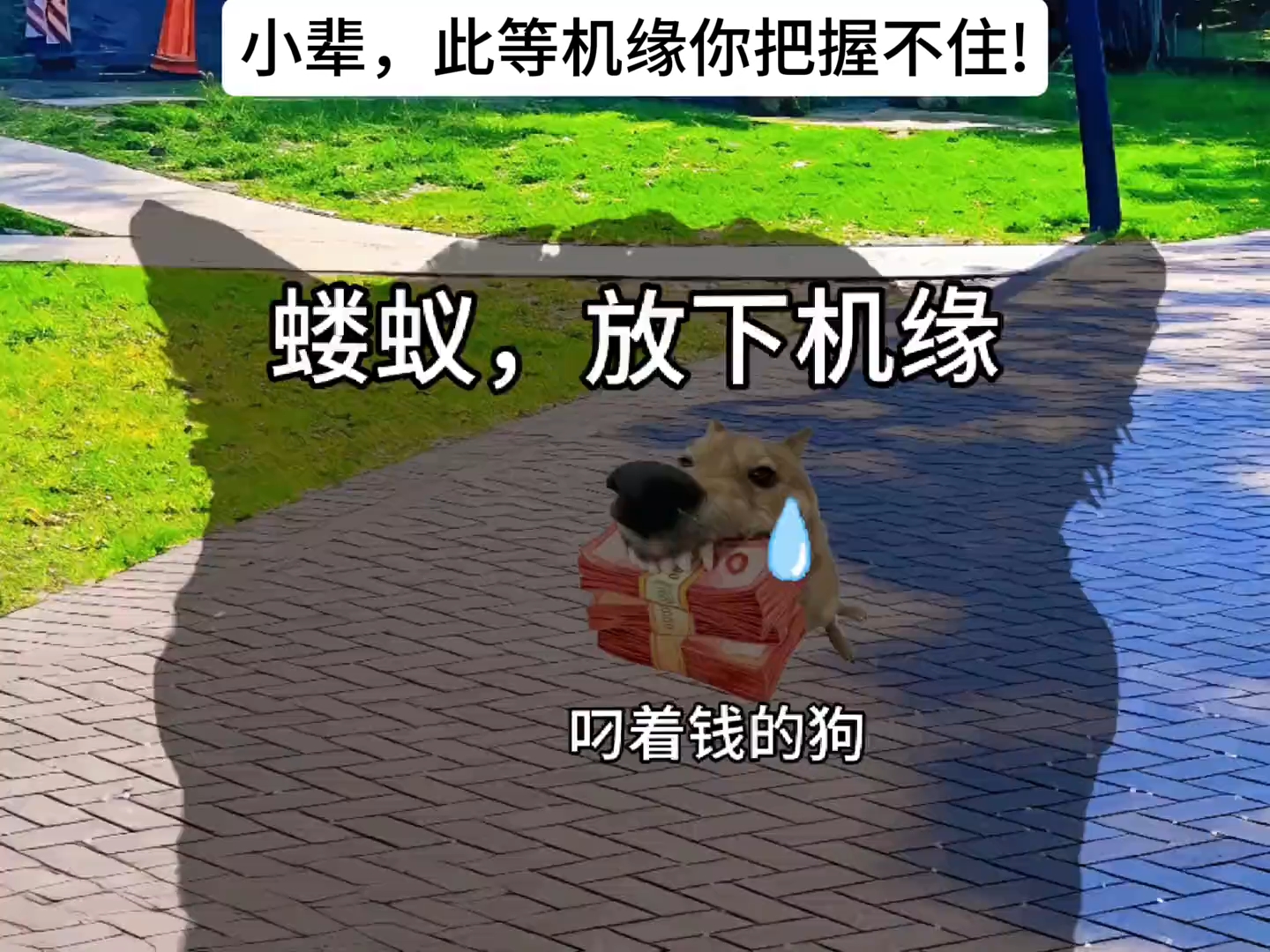 小辈，此等机缘你把握不住！