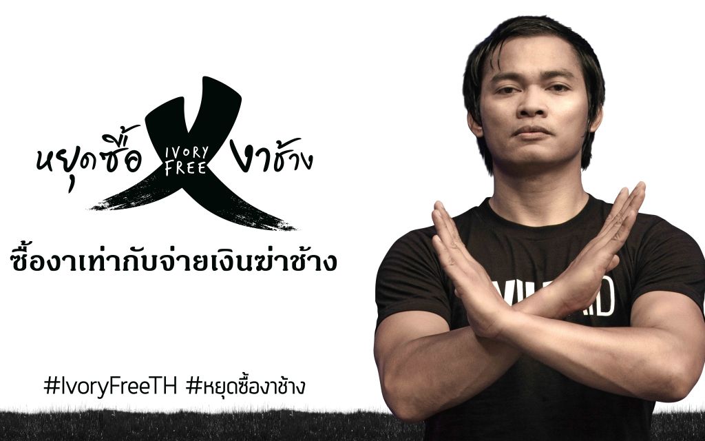 泰国拳王托尼贾图片图片