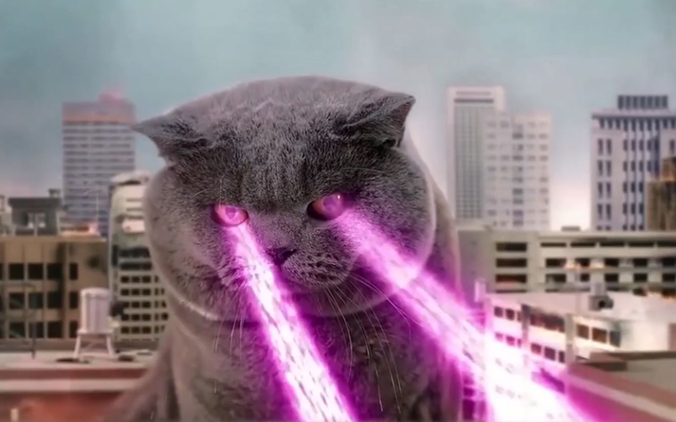 怪兽猫斯拉破坏城市,女奥特曼出来对战,仅用一根逗猫棒就掳获它_哔哩