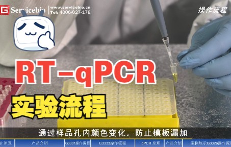 RTqPCR实验流程哔哩哔哩bilibili