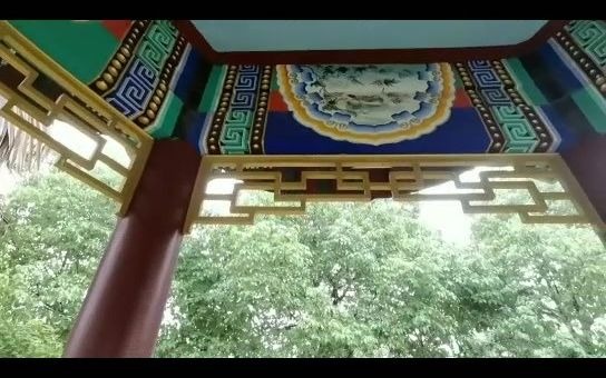 武汉市黄陂长乐园哔哩哔哩bilibili