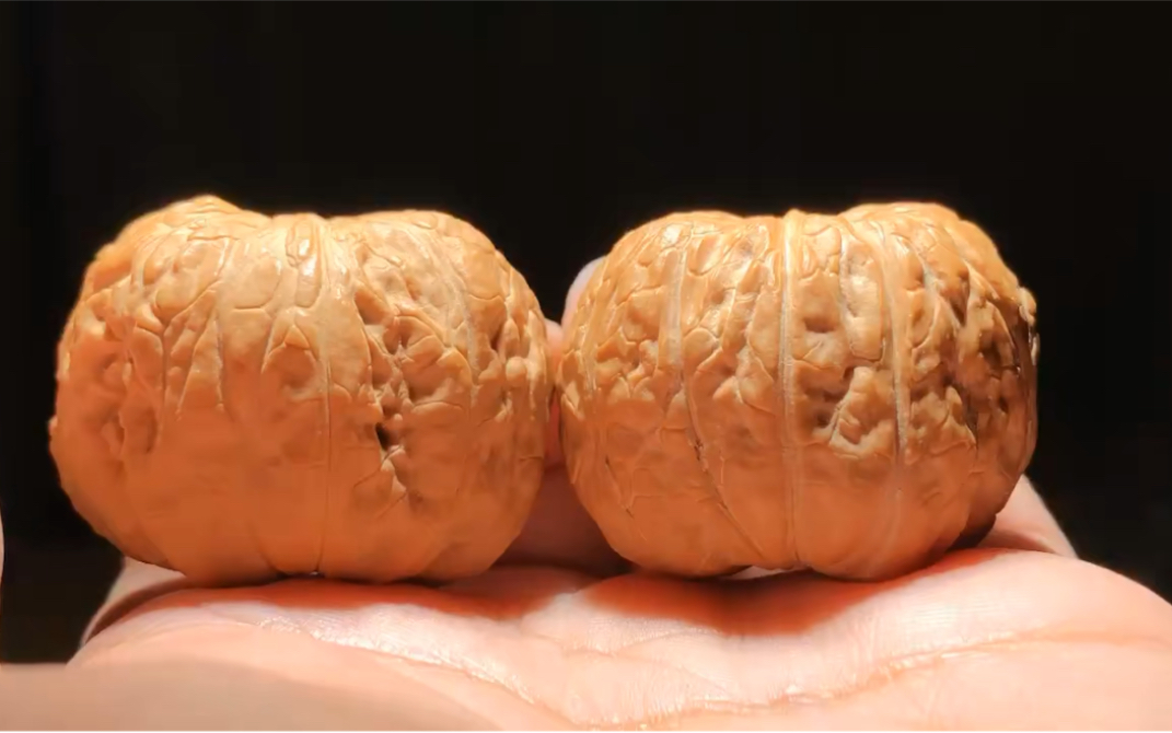 39极品麒麟元宝墩,边33高28,贼稀有特别圆呼,工作号kanhetao,备注b站