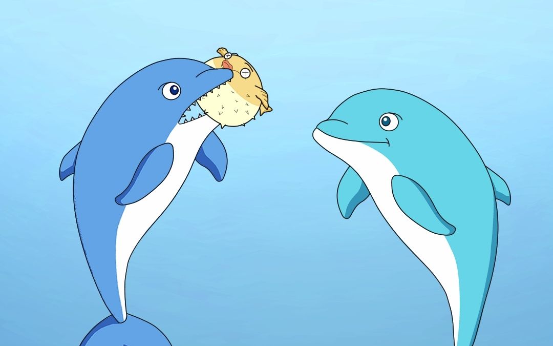 海豚聚众吸起河豚_哔哩哔哩_bilibili