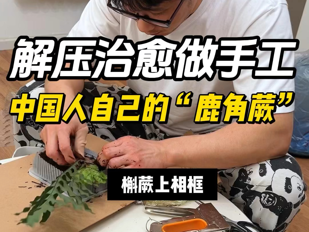 【生活小技巧】DIY绿植装饰!哔哩哔哩bilibili