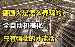 Video herunterladen: 德国人是怎么养鸡的？全自动机械化，只有强壮的才能活