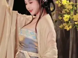 下载视频: 汉服大雷