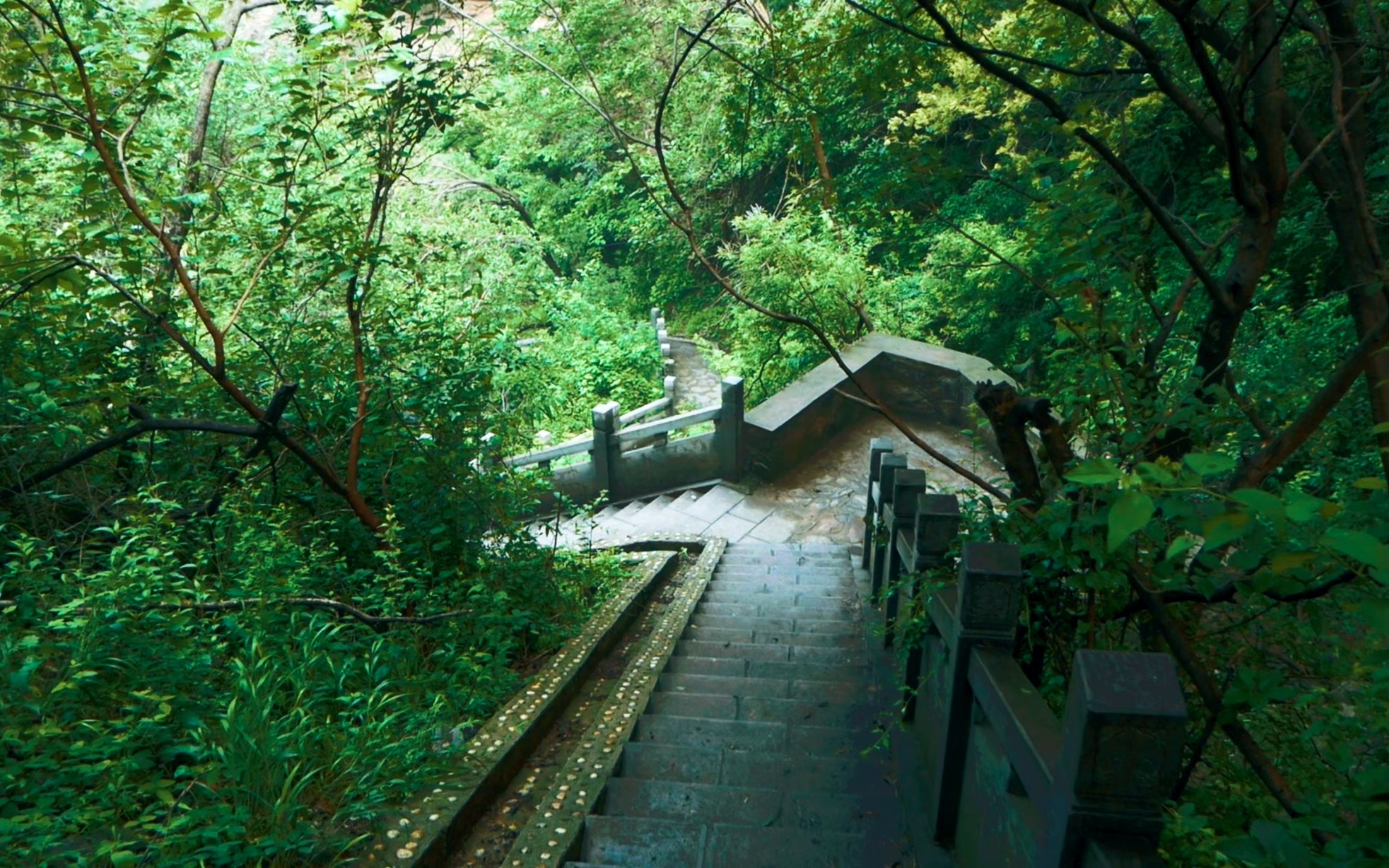 看一看大雨初晴后的山中美景——探景新郑具茨山黑龙潭哔哩哔哩bilibili