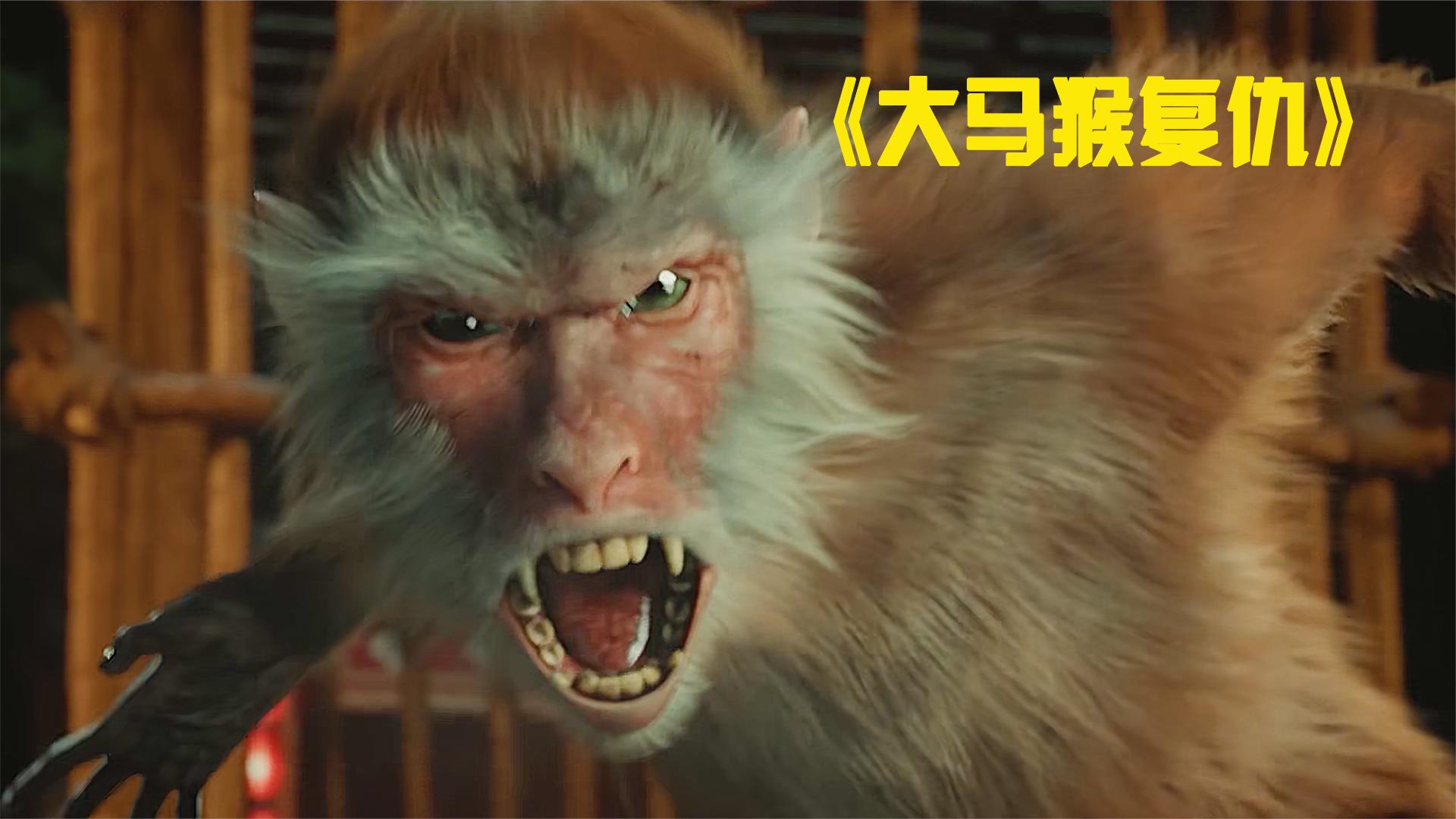 大马猴报恩为主复仇,小时候受伤被救,现在恩人有难,毫不退缩.
