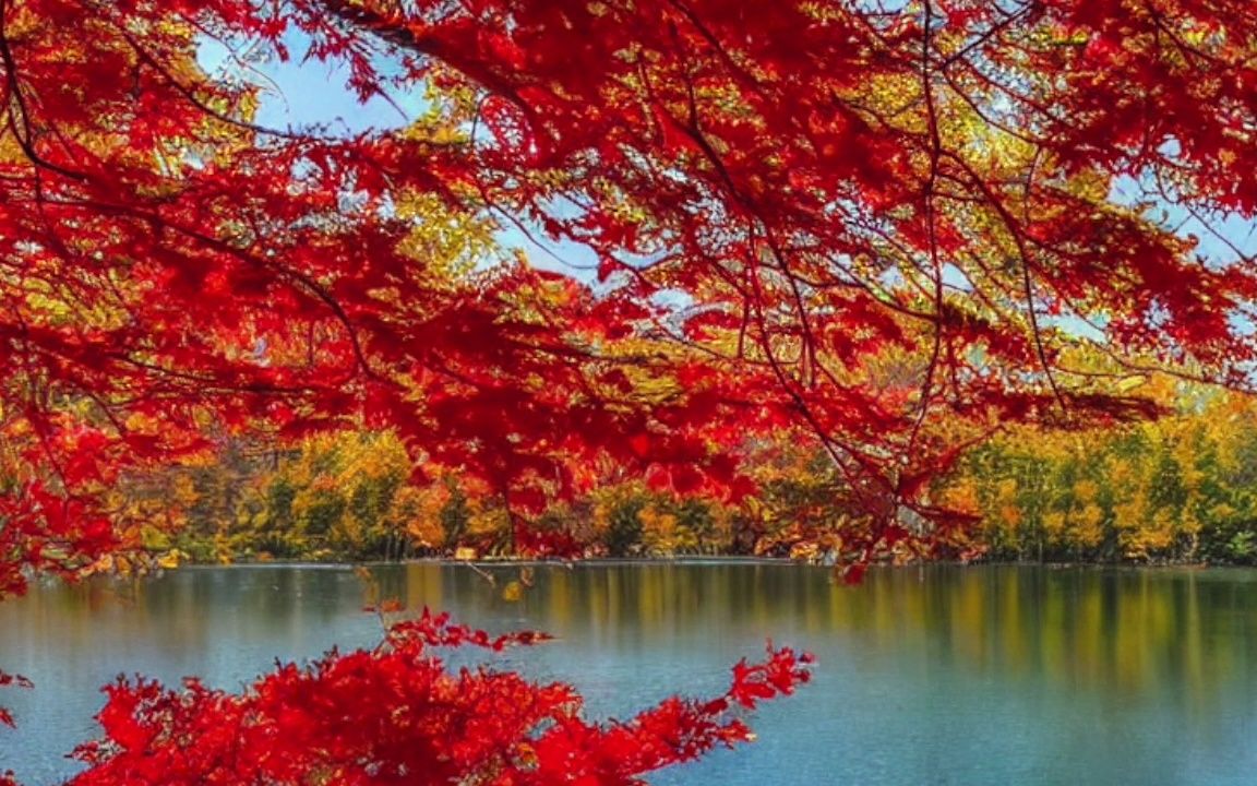 用ai画了一组"秋日湖边枫树林",工具:stable diffusion