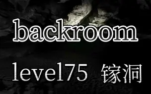 Download Video: 【backroom】level75-镓洞。在这里长时间停留等同于死亡