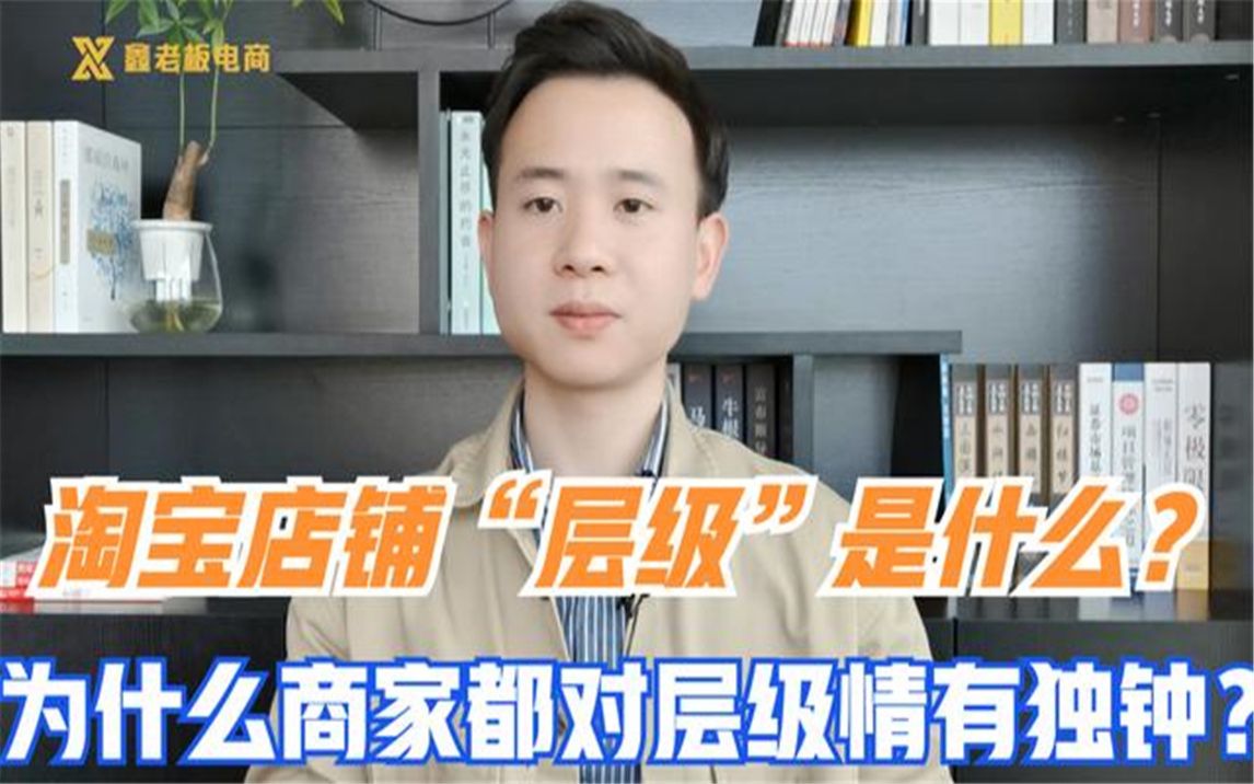 淘宝店铺”层级“是什么?为什么商家对层级划分情有独钟,流量究竟能不能涨哔哩哔哩bilibili