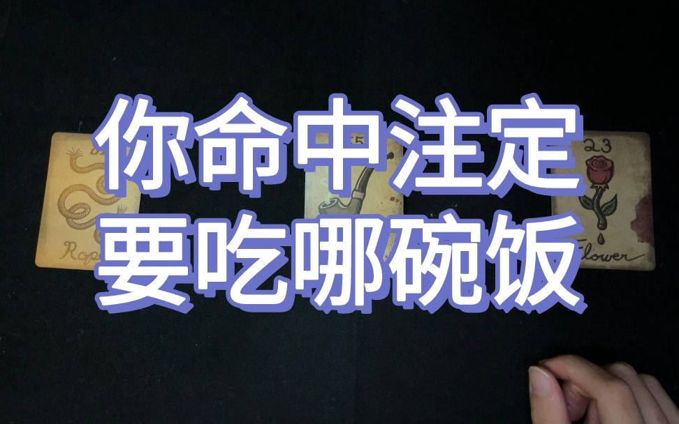 【希言塔罗】你命中注定要吃哪碗饭ⷤ𝠩€‚合什么样的职业?你的事业运势是什么样子的?需要注意什么?哔哩哔哩bilibili