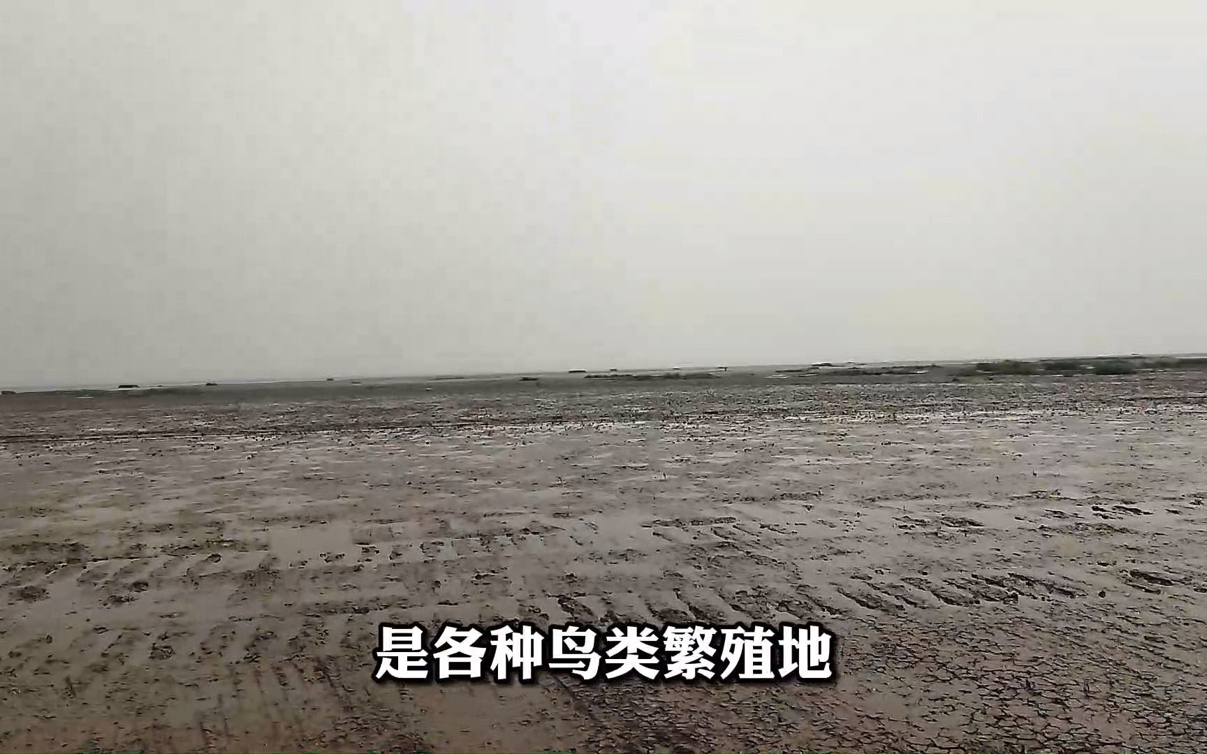 [图]胶东半岛最大河流大沽河入海口：青岛胶州湾国家级海洋公园，全国最大半封闭海洋公园，鸟类鱼类栖息繁衍圣地