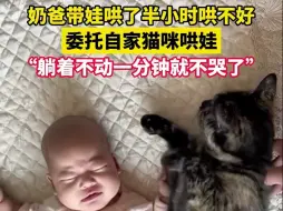 Download Video: 奶爸带娃哄了半小时哄不好，委托自家猫猫哄娃， “躺着不动一分钟就不哭了”