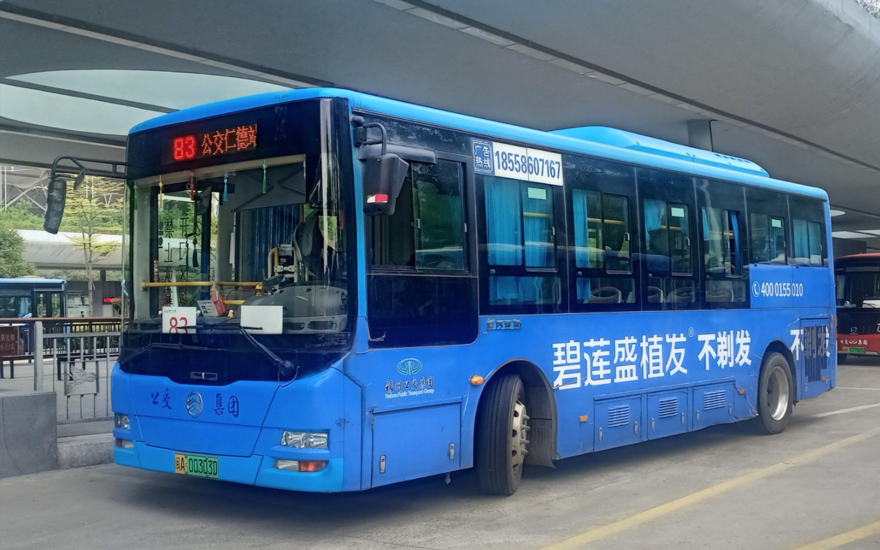 活動 福州公交集團83路公交車xml6855jevw0c3運行實錄