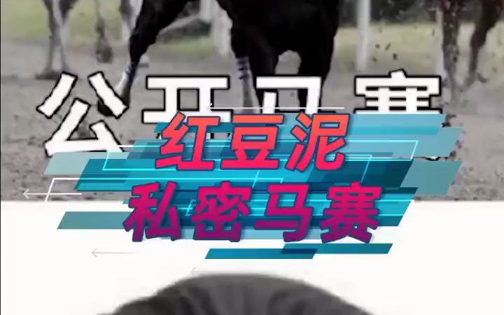 红豆泥,私密马赛_哔哩哔哩_bilibili