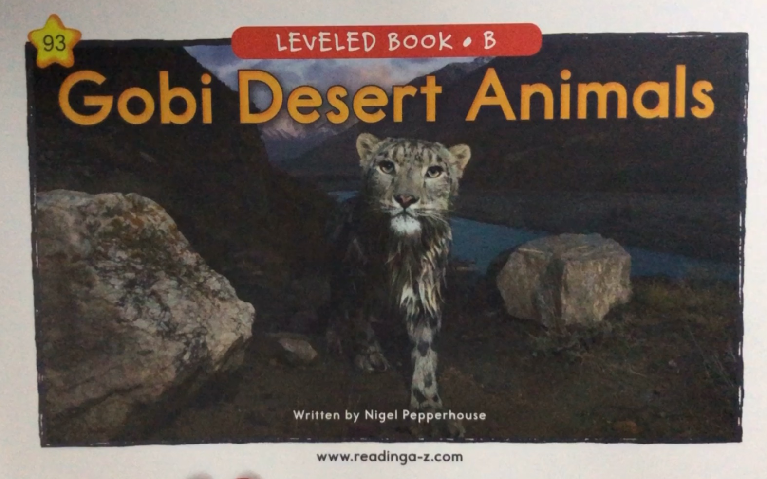 gobi desert animals图片