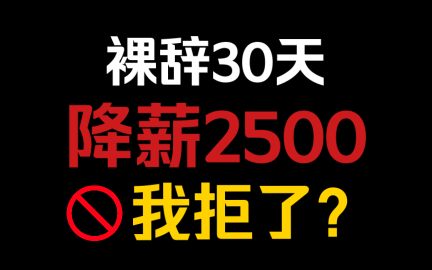 裸辞30天,降薪2500,我拒了?|厦门薪资水平实名吐槽哔哩哔哩bilibili