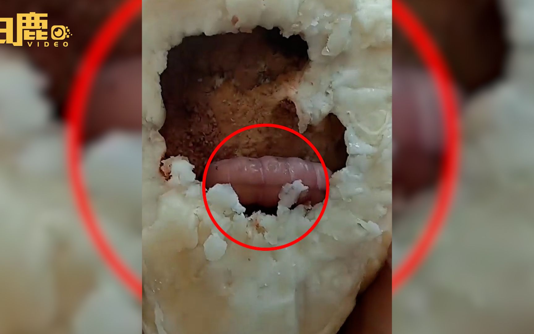 女子榴莲中吃出2厘米肥虫整个人被惊住