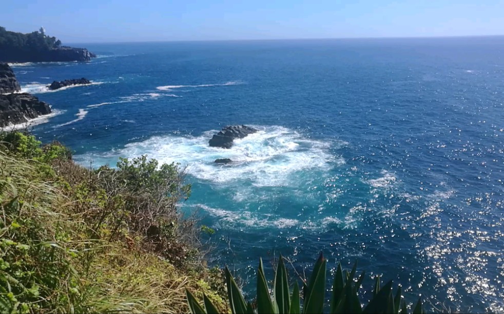 日本的大海