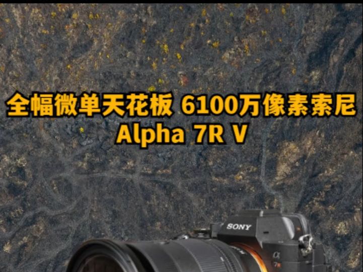 Alpha 7R V是目前索尼微单相机中像素最高的机型,这款相机搭载了一枚6100万像素!哔哩哔哩bilibili