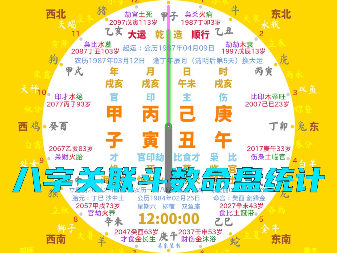 甲子年丙寅月己丑日十二时辰八字关联斗数命盘统计(下集)哔哩哔哩bilibili