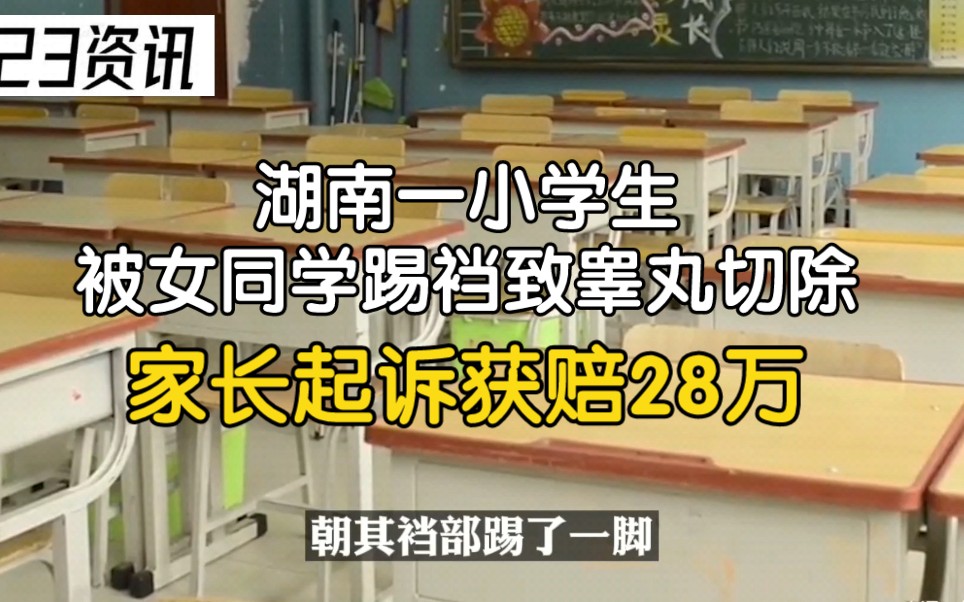 湖南一小学生被女同学踢裆致睾丸切除,家长起诉获赔28万哔哩哔哩bilibili