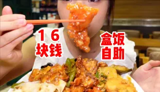 Download Video: 16块钱24小时不限量的盒饭自助！东北你要干嘛呀！！！60多样的菜品！！！太好吃了！！！