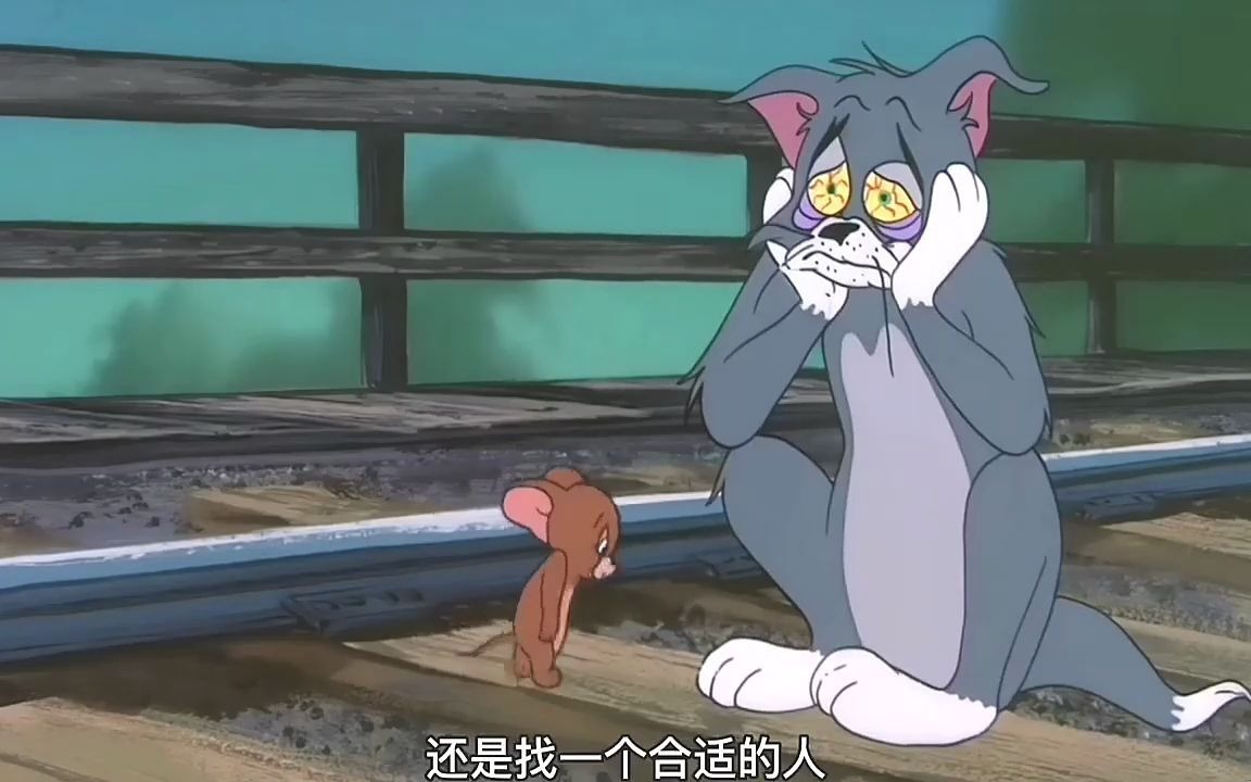 舔猫汤姆被白猫图多盖洛玩弄于鼓掌中,最后输得一无所有