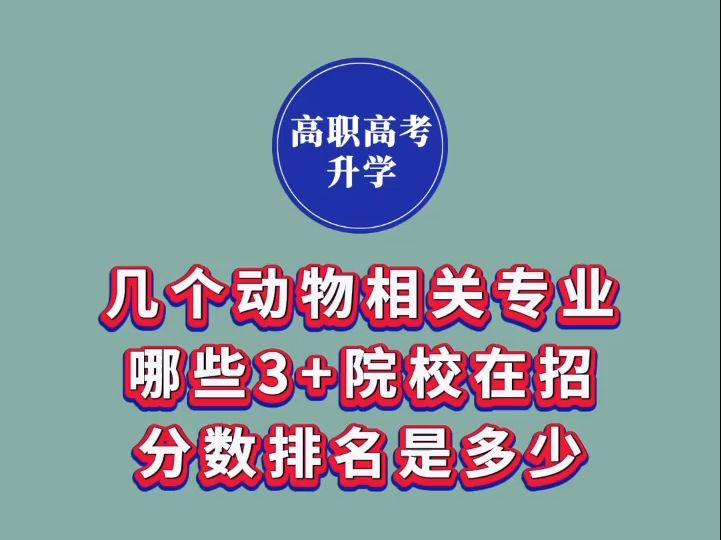 畜牧兽医、动物医学、宠物医疗技术、宠物养护与训导、畜禽智能化养殖这五个专业有哪些3+院校招生?分数和排名是多少?哔哩哔哩bilibili