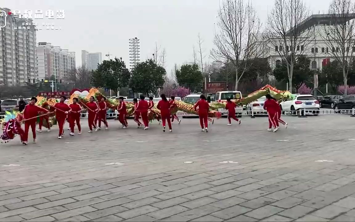 今天二月二龙抬头!水一期视频,带大家看耍龙!祝大家鸿运当头!哔哩哔哩bilibili