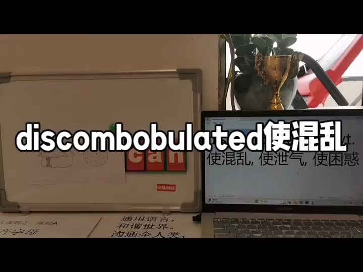 00177discombobulated哔哩哔哩bilibili