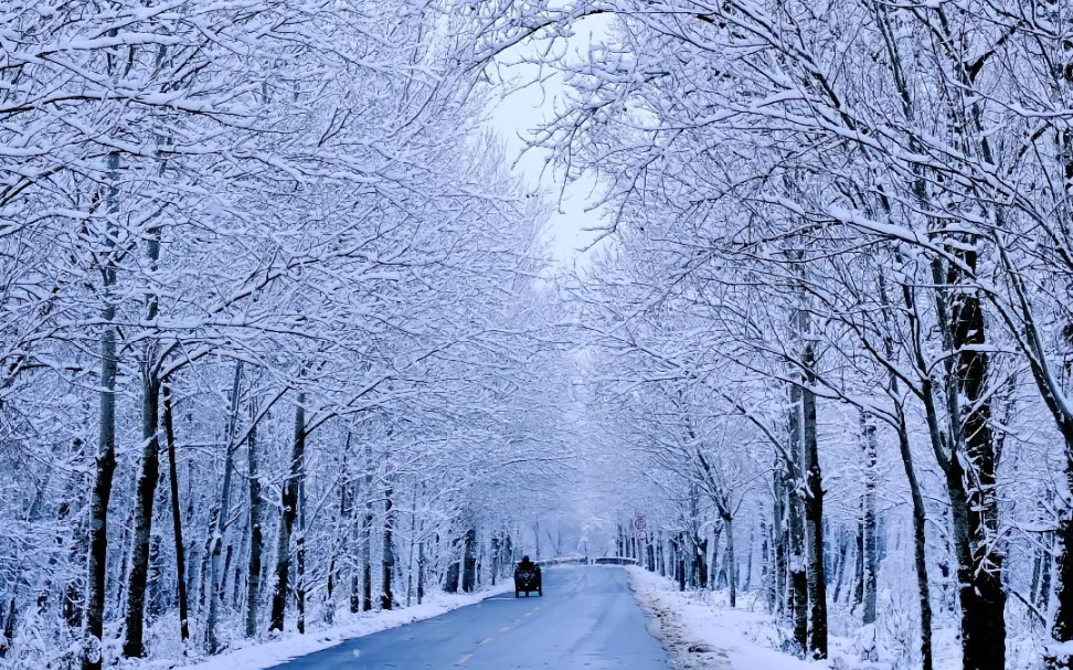 多么美丽的雪景世界