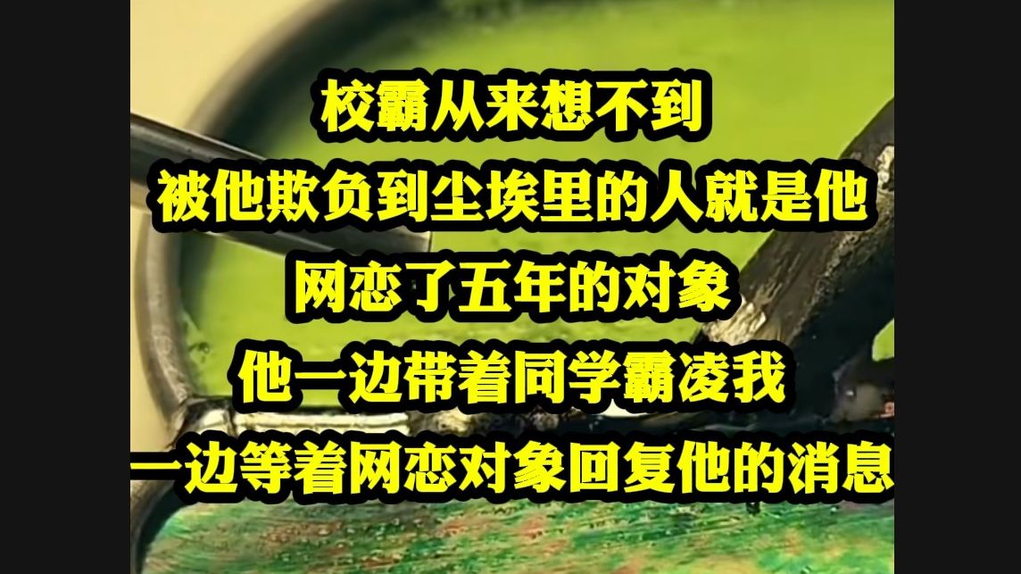 校霸从来想不到,被他欺负到尘埃里的人就是他网恋了五年的对象,他一边带着同学霸凌我,一边等着网恋对象回复他的消息...哔哩哔哩bilibili