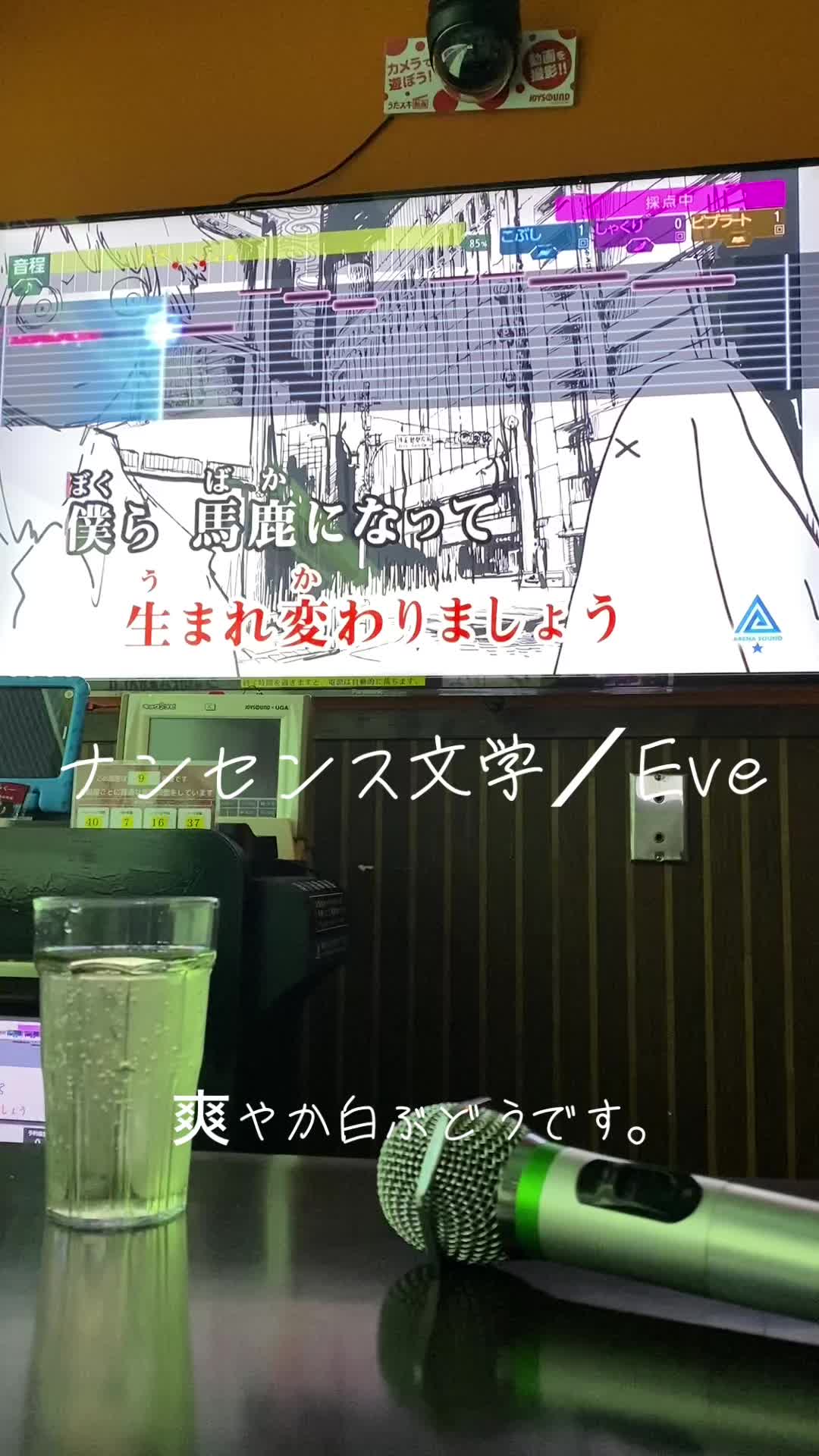 ナンセンス文学/eve をカラオケで歌ってみました.