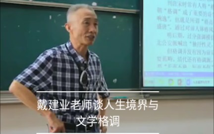 戴建业老师谈《人生境界与文学格调》哔哩哔哩bilibili