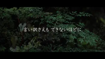 中孝介 - 花 2007
