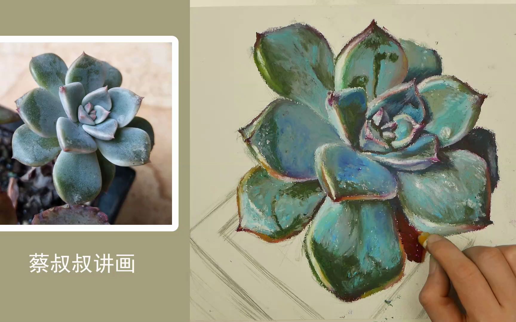 油画棒画:多肉植物写生习作