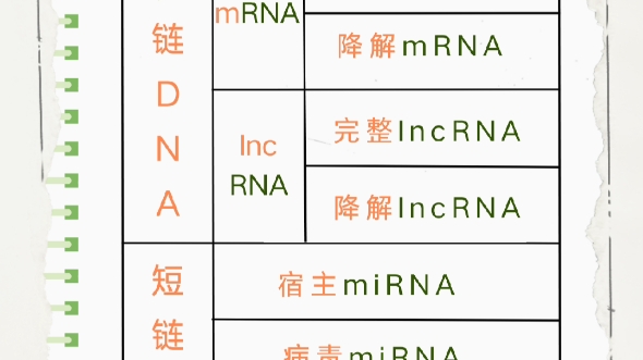 外泌体原理:外泌体是由细胞内多泡体与细胞膜融 合后,释放到细胞外基质中的膜性囊泡.几乎所有类型的细胞,都可以产生并释放外泌体.哔哩哔哩bilibili