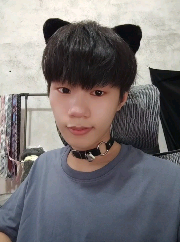 猫系男友[藏狐][藏狐][藏狐][藏狐]