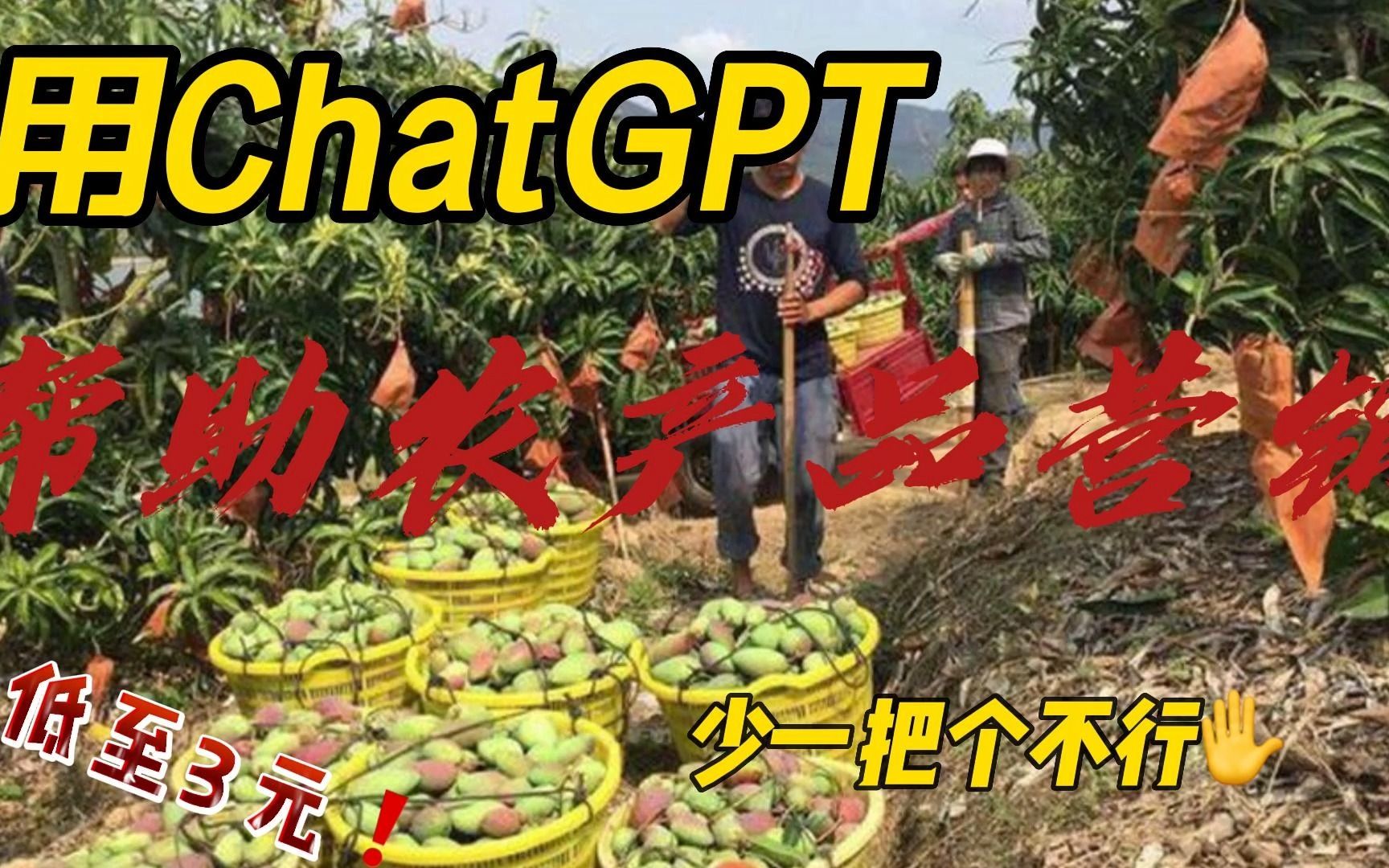 ChatGPT:农村创业者的营销利器,助力农产品走向成功!哔哩哔哩bilibili