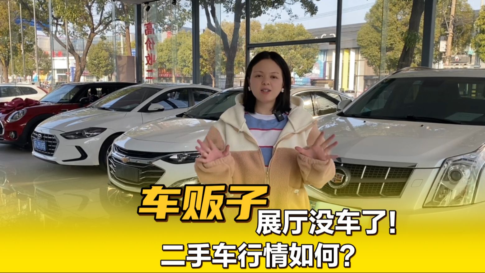 做了10年车贩子,居然展厅又没车了!又得继续收车了