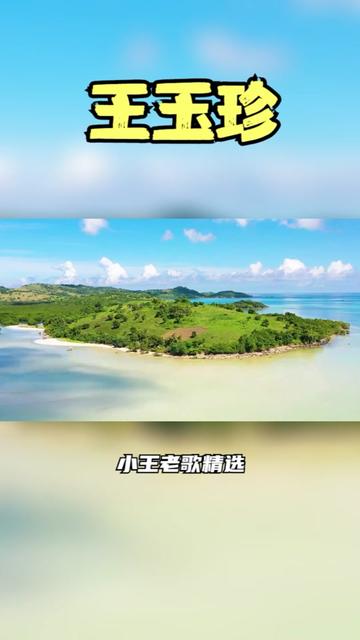 [图]王玉珍《洪湖水浪打浪》《小曲好唱口难开》《手拿碟儿敲起来》等