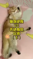 Download Video: 猫咪绝育VS不绝育的区别（下）