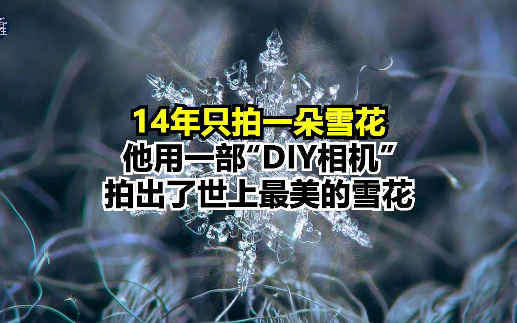 [图]14年只拍一朵雪花，他用一部“DIY相机”拍出了世上最美的雪花