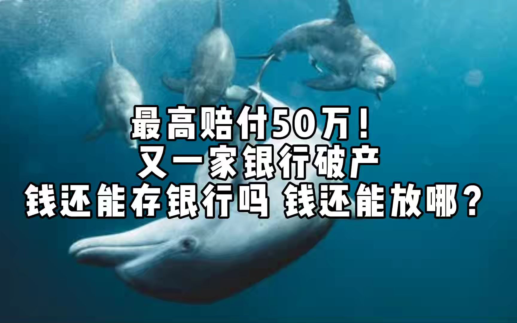 最高赔付50万,又一家银行破产,钱还能存银行吗 钱还能放哪?哔哩哔哩bilibili