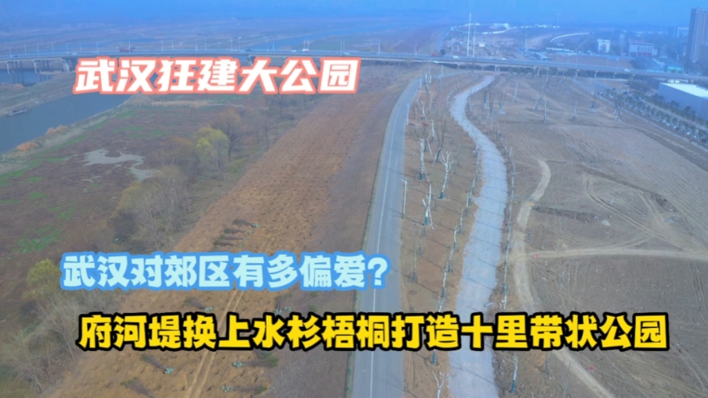 狂建大公园,武汉对郊区有多偏爱?府河堤换上梧桐水杉造十里公园哔哩哔哩bilibili