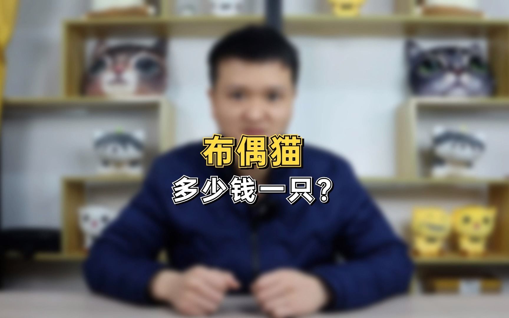 布偶猫多少钱一只?哔哩哔哩bilibili